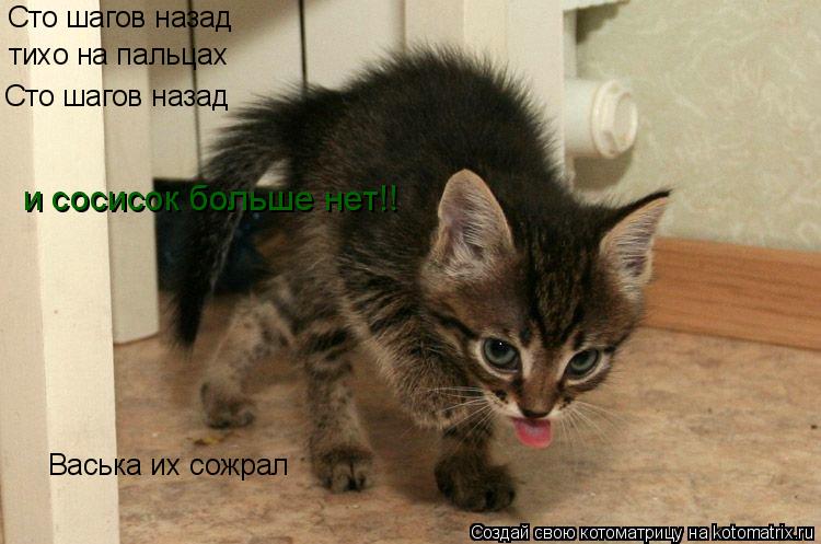 Сто шагов назад тихо на пальцах Сто шагов назад и сосисок больше нет!! Васька их сожрал... Котоматрица: Сто шагов назад тихо на пальцах Сто шагов назад и сосисок больше нет!! Васька их сожрал