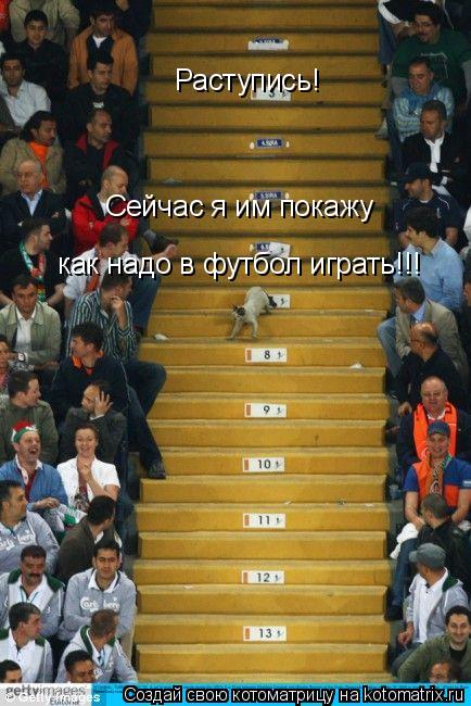 Раступись! Сейчас я им покажу как надо в футбол играть!!!... Котоматрица: Раступись! Сейчас я им покажу как надо в футбол играть!!!