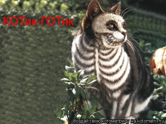 КОТик-ГОТик... Котоматрица: КОТик-ГОТик
