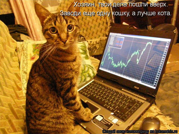 Хозяин, твои дела пошли вверх. Заводи еще одну кошку, а лучше кота.... Котоматрица: Хозяин, твои дела пошли вверх. Заводи еще одну кошку, а лучше кота.