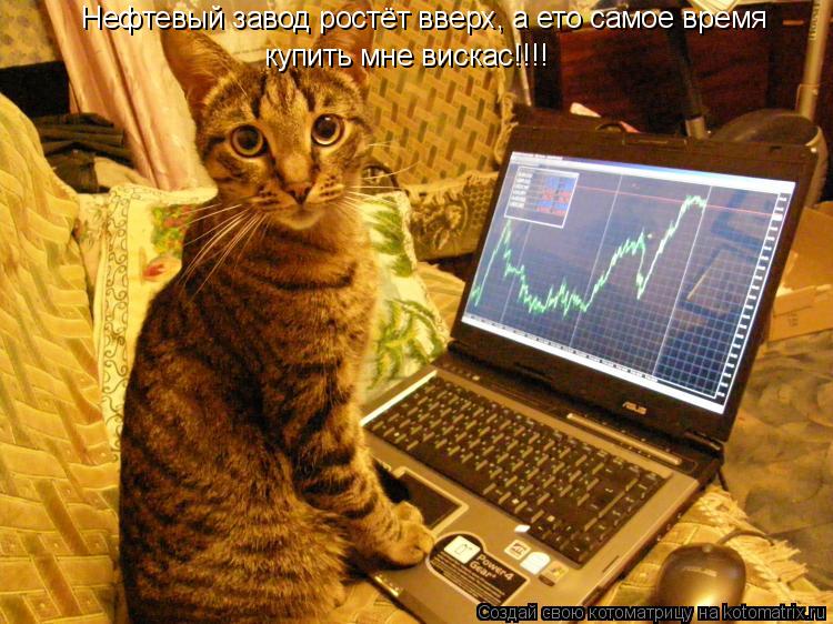 Нефтевый завод ростёт вверх, а ето самое время купить мне вискас!!!!... Котоматрица: Нефтевый завод ростёт вверх, а ето самое время купить мне вискас!!!!