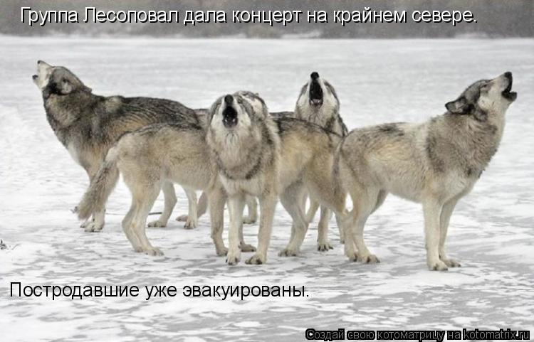 Группа Лесоповал дала концерт на крайнем севере. Постродавшие уже эвакуированы.... Котоматрица: Группа Лесоповал дала концерт на крайнем севере. Постродавшие уже эвакуированы.