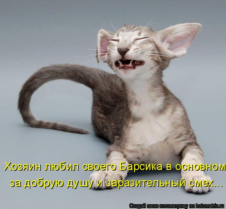 за добрую душу и заразительный смех... Хозяин любил своего Барсика в основном... Котоматрица: за добрую душу и заразительный смех... Хозяин любил своего Барсика в основном