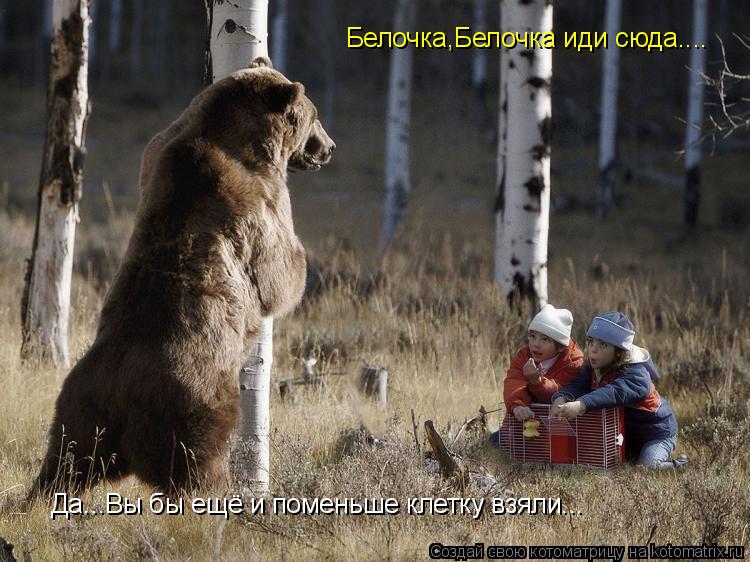 Белочка,Белочка иди сюда.... Да...Вы бы ещё и поменьше клетку взяли...... Котоматрица: Белочка,Белочка иди сюда.... Да...Вы бы ещё и поменьше клетку взяли...