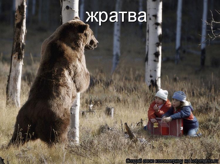 жратва... Котоматрица: жратва