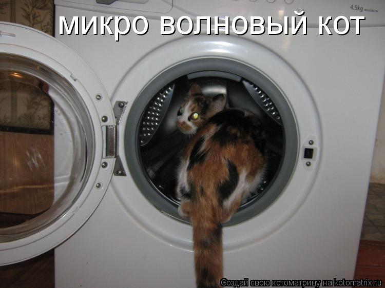 микро волновый кот... Котоматрица: микро волновый кот