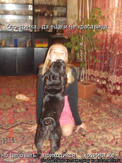 но целовать... приходится.... хозяйка же... блондинка.. да еще и не красавица...... Котоматрица: но целовать... приходится.... хозяйка же... блондинка.. да еще и не красавица...