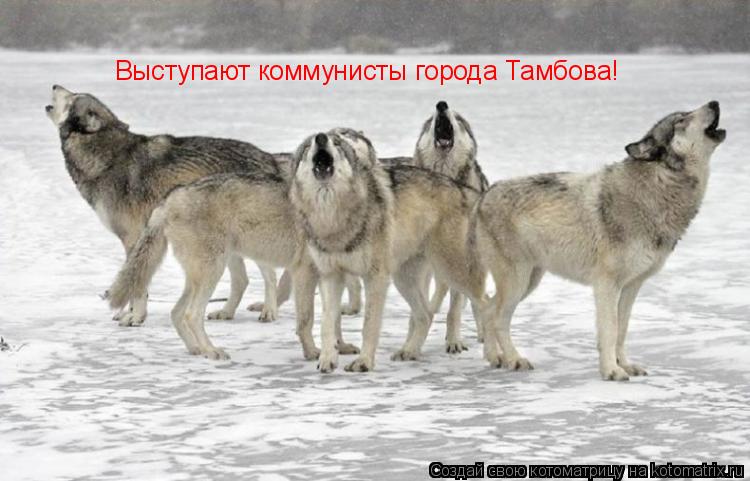 Выступают коммунисты города Тамбова!... Котоматрица: Выступают коммунисты города Тамбова!