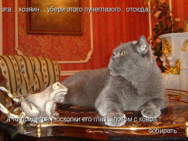 эта... хозяин....убери этого пучеглазого.. отсюда... а то придется... осколки его глаз... потом с ков... Котоматрица: эта... хозяин....убери этого пучеглазого.. отсюда... а то придется... осколки его глаз... потом с ковра собирать....