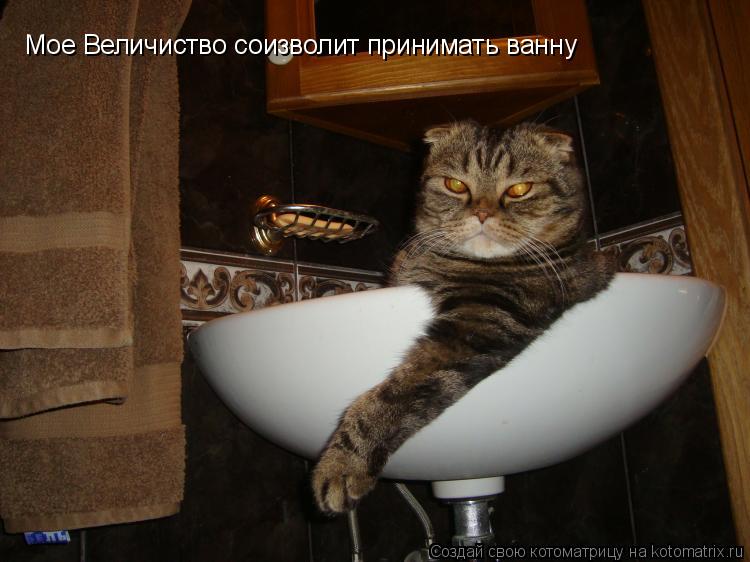 Мое Величиство соизволит принимать ванну... Котоматрица: Мое Величиство соизволит принимать ванну