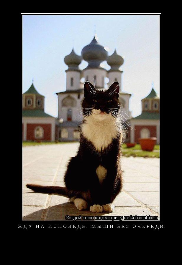 Котоматрица: ЖДУ НА ИСПОВЕДЬ. МЫШИ БЕЗ ОЧЕРЕДИ 
