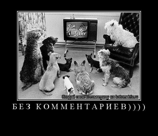 Котоматрица: БЕЗ КОММЕНТАРИЕВ)))) 