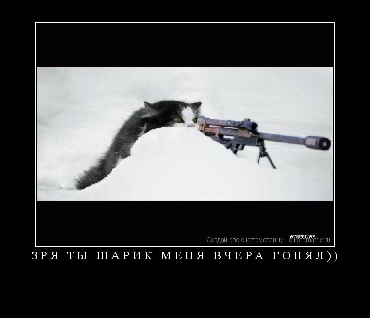Котоматрица: ЗРЯ ТЫ ШАРИК МЕНЯ ВЧЕРА ГОНЯЛ)) 