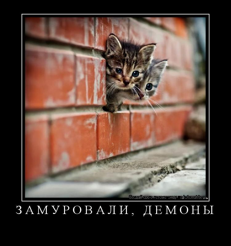 Котоматрица: ЗАМУРОВАЛИ, ДЕМОНЫ 