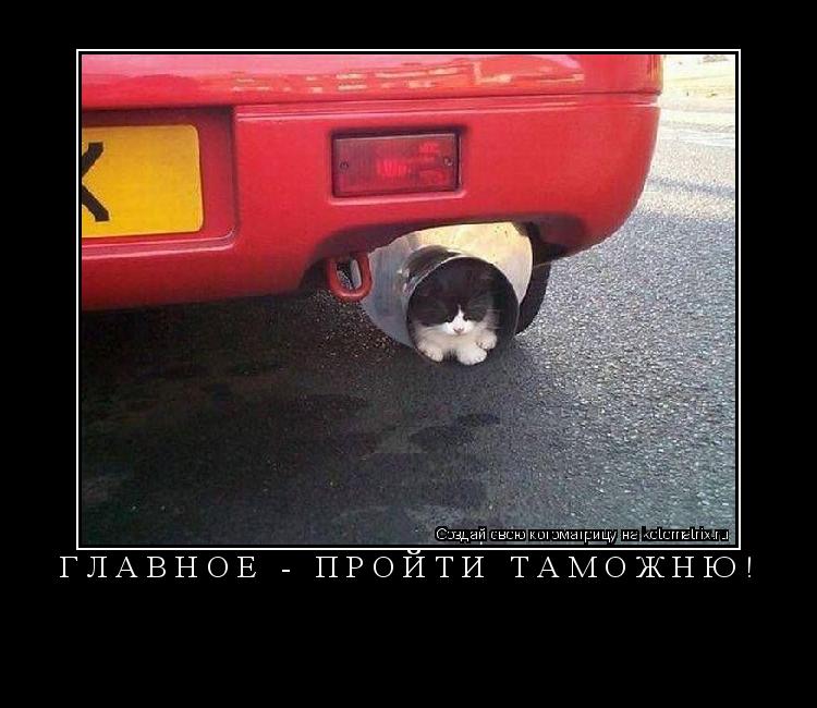 Котоматрица: ГЛАВНОЕ - ПРОЙТИ ТАМОЖНЮ! 