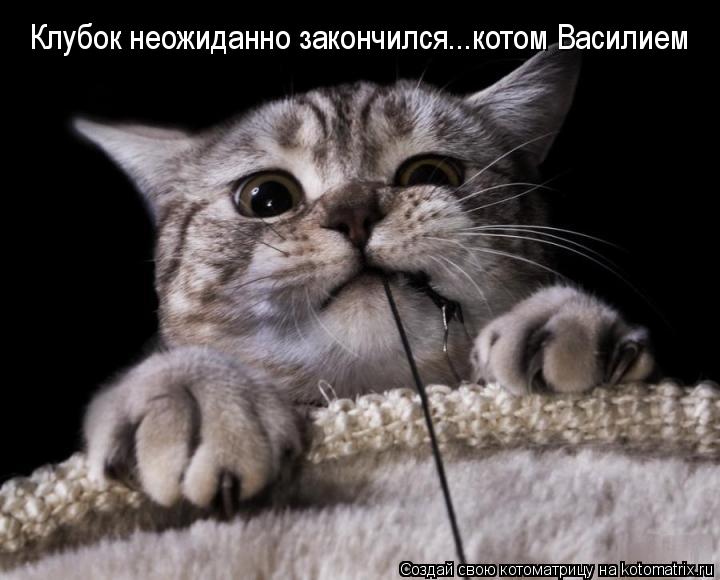 Клубок неожиданно закончился...котом Василием... Котоматрица: Клубок неожиданно закончился...котом Василием