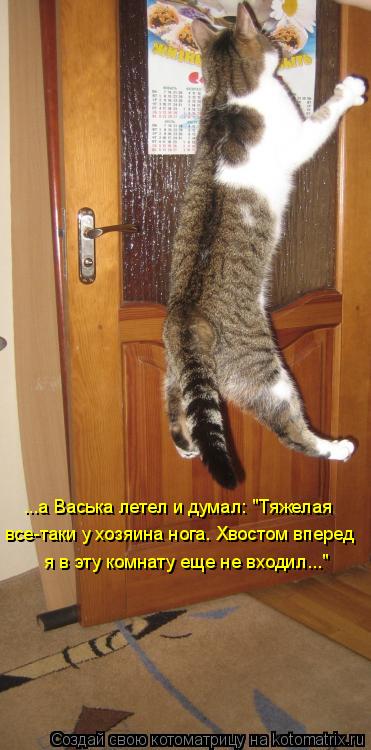 ...а Васька летел и думал: "Тяжелая все-таки у хозяина нога. Хвостом вперед я в эту комнату еще не вх... Котоматрица: ...а Васька летел и думал: "Тяжелая все-таки у хозяина нога. Хвостом вперед я в эту комнату еще не входил..."