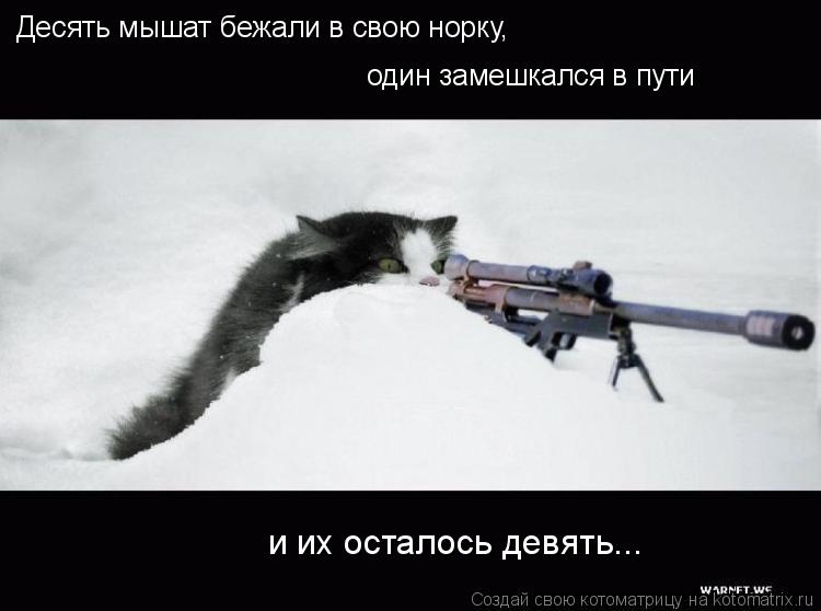 Котоматрица: Десять мышат бежали в свою норку, один замешкался в пути  и их осталось девять...