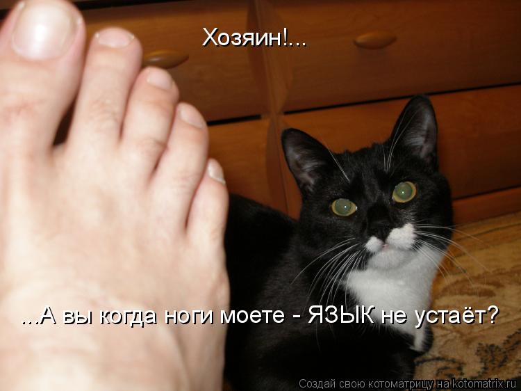 ...А вы когда ноги моете - ЯЗЫК не устаёт? Хозяин!...... Котоматрица: ...А вы когда ноги моете - ЯЗЫК не устаёт? Хозяин!...