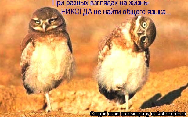 Котоматрица: При разных взглядах на жизнь- НИКОГДА не найти общего языка...