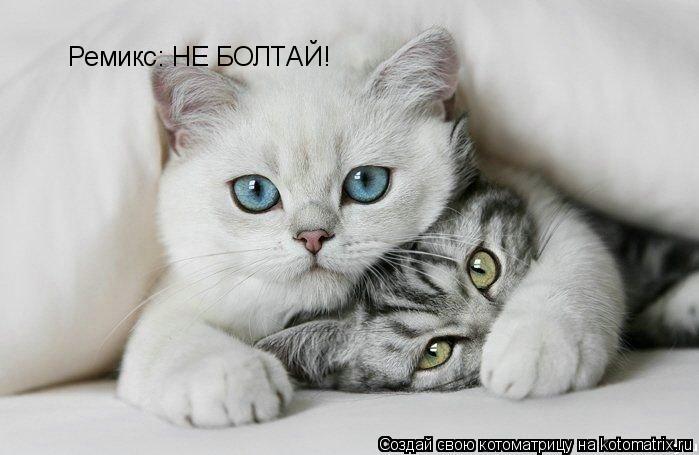 Котоматрица: Ремикс: НЕ БОЛТАЙ!