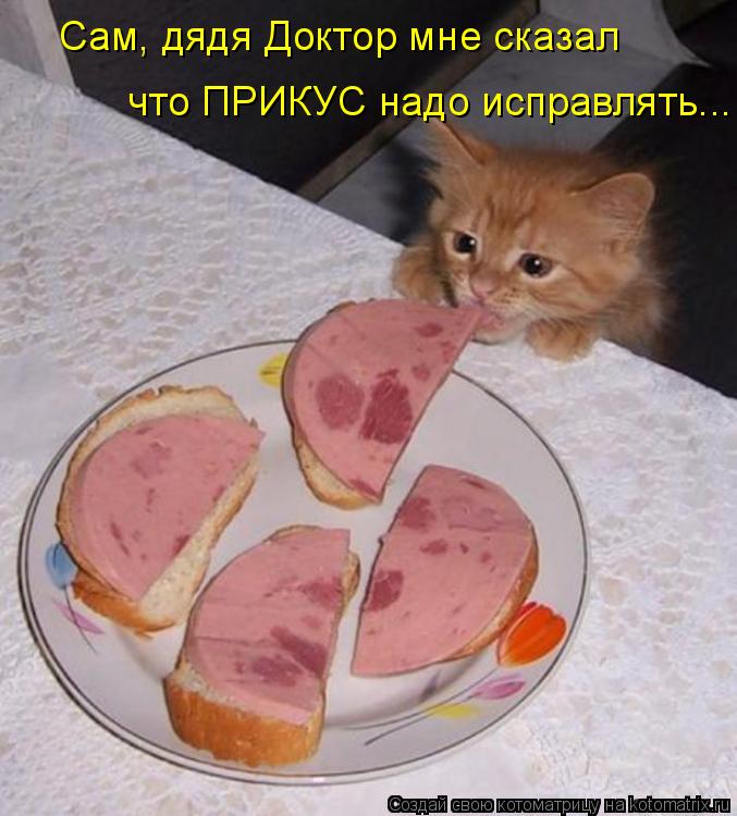 Сам, дядя Доктор мне сказал что ПРИКУС надо исправлять...... Котоматрица: Сам, дядя Доктор мне сказал что ПРИКУС надо исправлять...