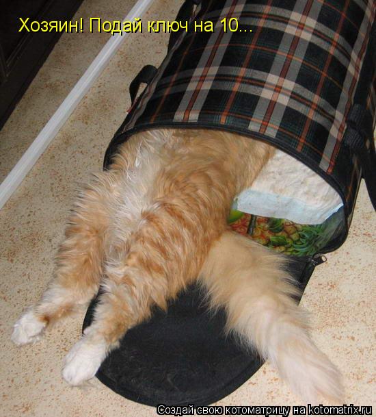 Котоматрица: Хозяин! Подай ключ на 10...