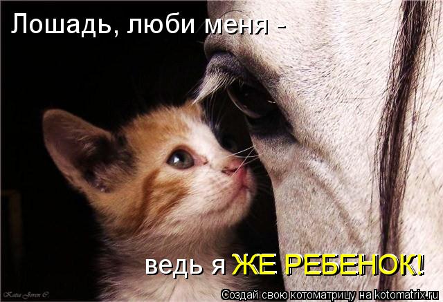 Лошадь, люби меня - ведь я ЖЕ РЕБЕНОК! ЖЕ РЕБЕНОК!... Котоматрица: Лошадь, люби меня - ведь я ЖЕ РЕБЕНОК! ЖЕ РЕБЕНОК!