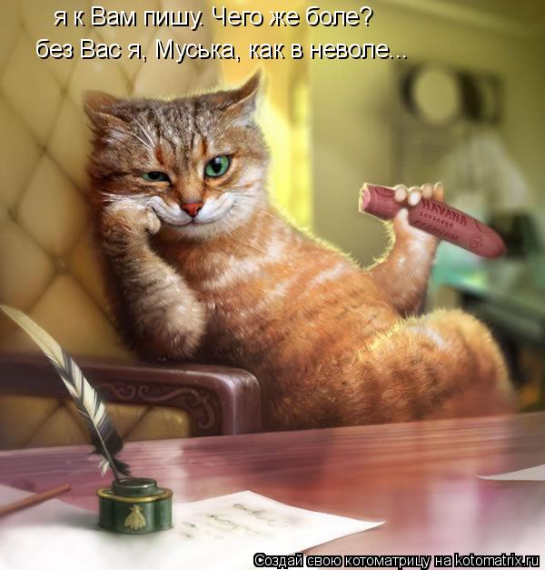 Котоматрица: я к Вам пишу. Чего же боле? без Вас я, Муська, как в неволе...