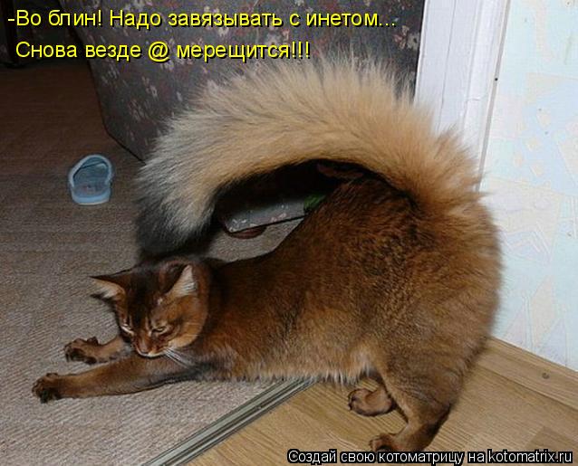 -Во блин! Надо завязывать с инетом... Снова везде @ мерещится!!!... Котоматрица: -Во блин! Надо завязывать с инетом... Снова везде @ мерещится!!!