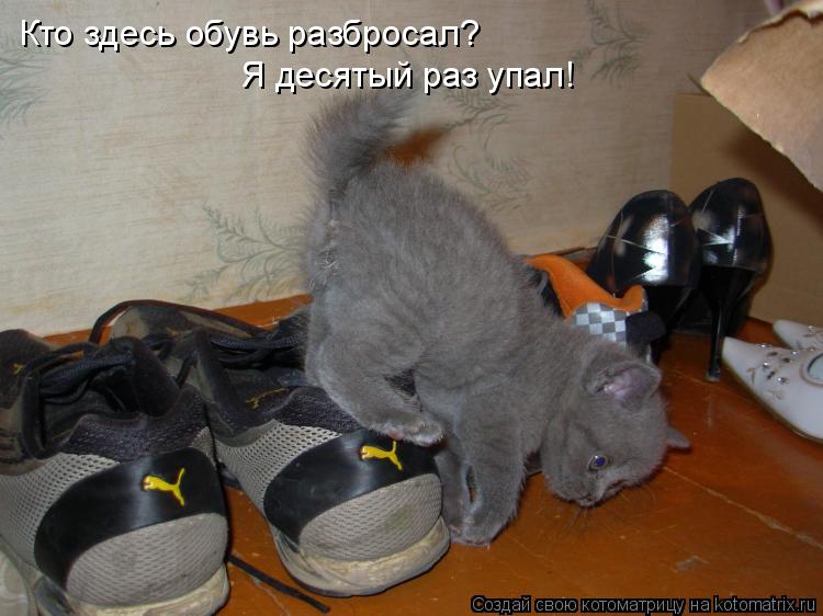 Кто здесь обувь разбросал? Я десятый раз упал!... Котоматрица: Кто здесь обувь разбросал? Я десятый раз упал!