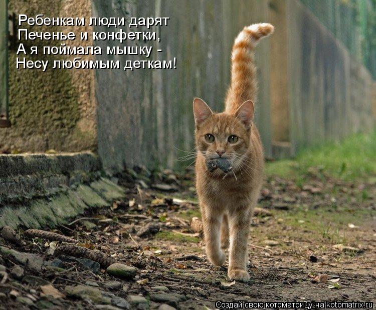 Ребенкам люди дарят Печенье и конфетки, А я поймала мышку - Несу любимым деткам!... Котоматрица: Ребенкам люди дарят Печенье и конфетки, А я поймала мышку - Несу любимым деткам!