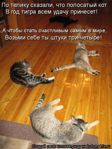 По телику сказали, что полосатый кот В год тигра всем удачу принесет! А чтобы стать счастливым самым ... Котоматрица: По телику сказали, что полосатый кот В год тигра всем удачу принесет! А чтобы стать счастливым самым в мире, Возьми себе ты штуки три-четыре!