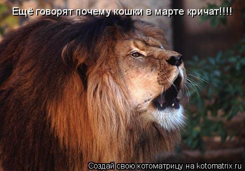 Котоматрица: Ещё говорят почему кошки в марте кричат!!!!