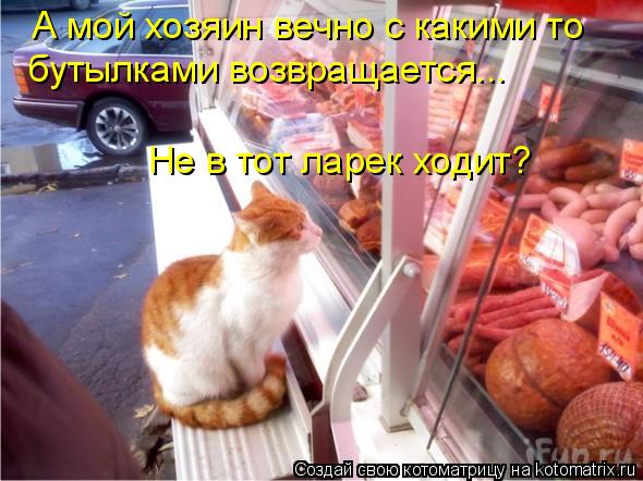 Котоматрица: А мой хозяин вечно с какими то  бутылками возвращается... Не в тот ларек ходит?