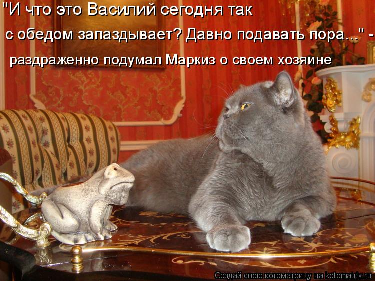 "И что это Василий сегодня так с обедом запаздывает? Давно подавать пора..." - раздраженно подумал Ма... Котоматрица: "И что это Василий сегодня так с обедом запаздывает? Давно подавать пора..." - раздраженно подумал Маркиз о своем хозяине