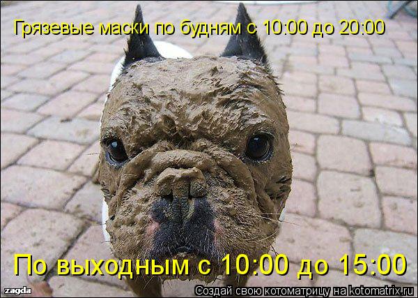 Котоматрица: Грязевые маски по будням с 10:00 до 20:00 По выходным с 10:00 до 15:00