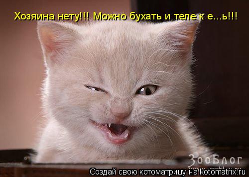 Котоматрица: Хозяина нету!!! Можно бухать и теле к е...ь!!!