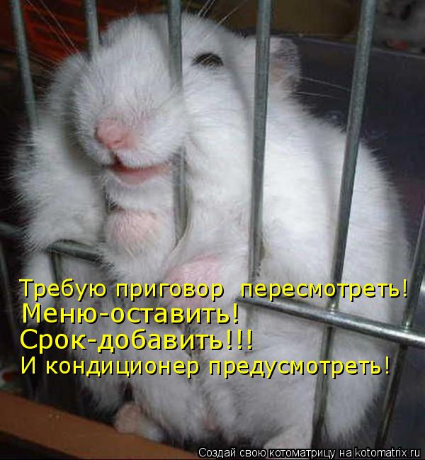 Котоматрица: Требую приговор  пересмотреть! Меню-оставить! Срок-добавить!!! И кондиционер предусмотреть!