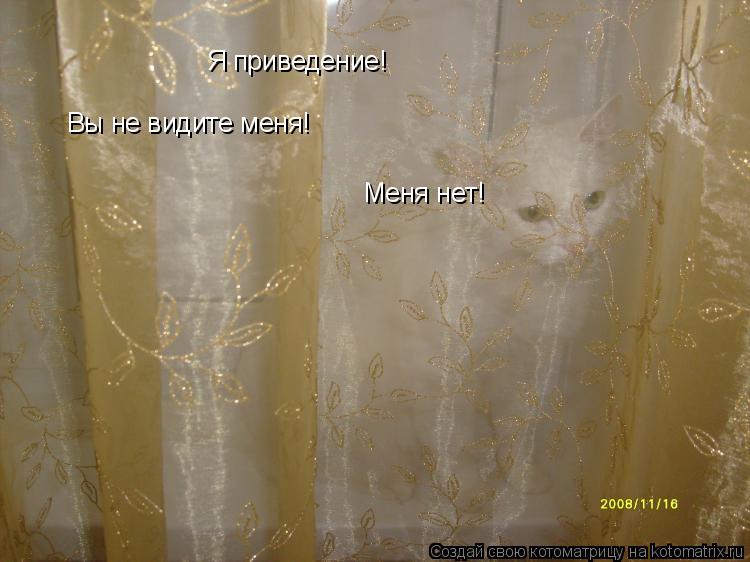 Котоматрица: Я приведение! Вы не видите меня! Меня нет!