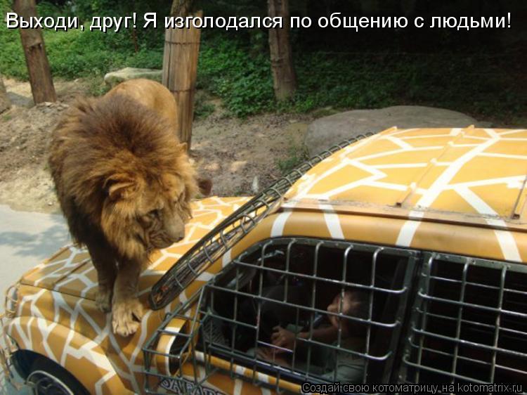 Котоматрица: Выходи, друг! Я изголодался по общению с людьми!