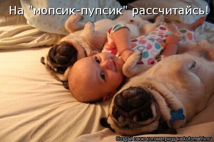 На "мопсик-пупсик" рассчитайсь!... Котоматрица: На "мопсик-пупсик" рассчитайсь!