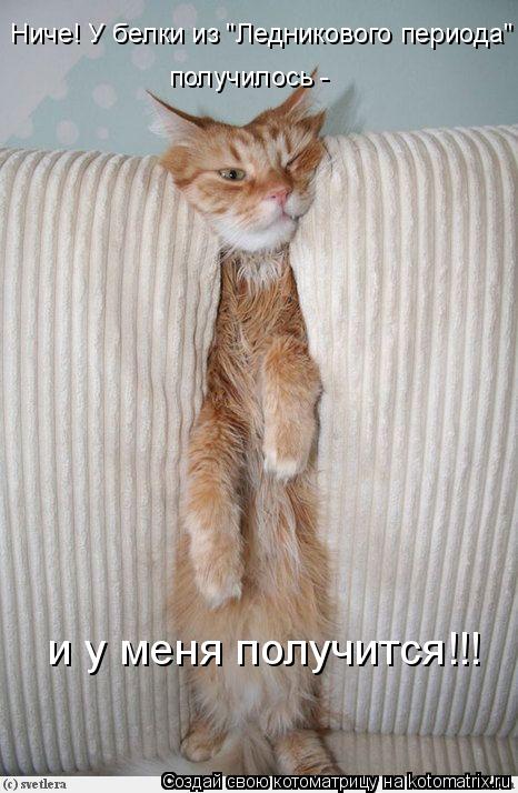 и у меня получится!!! Ниче! У белки из "Ледникового периода" получилось -... Котоматрица: и у меня получится!!! Ниче! У белки из "Ледникового периода" получилось -