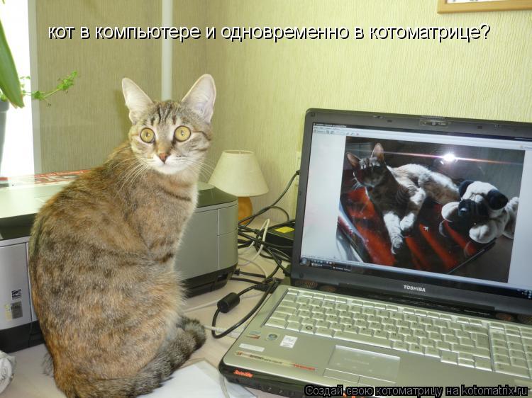 Котоматрица: кот в компьютере и одновременно в котоматрице?