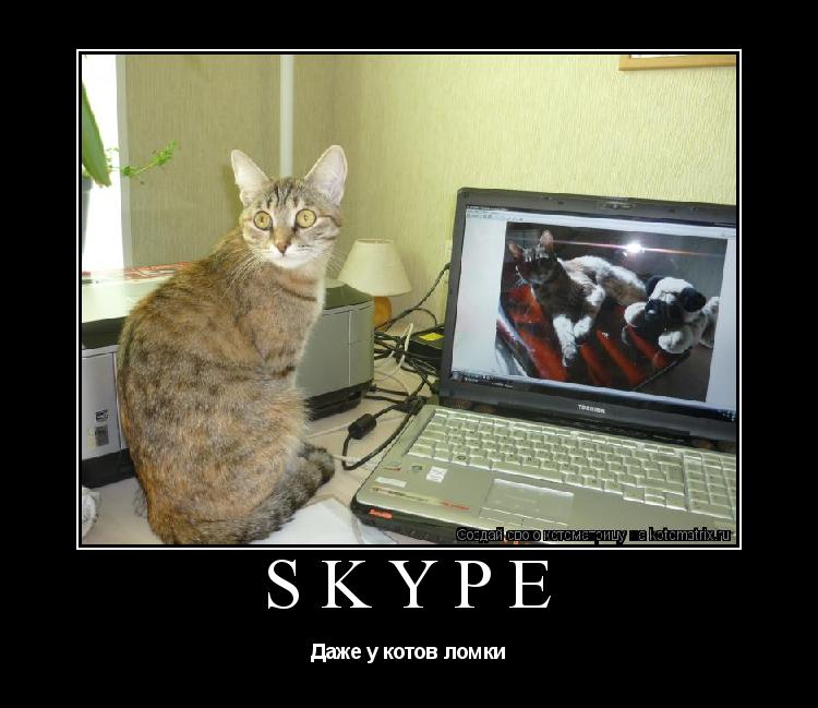 Котоматрица: Skype Даже у котов ломки