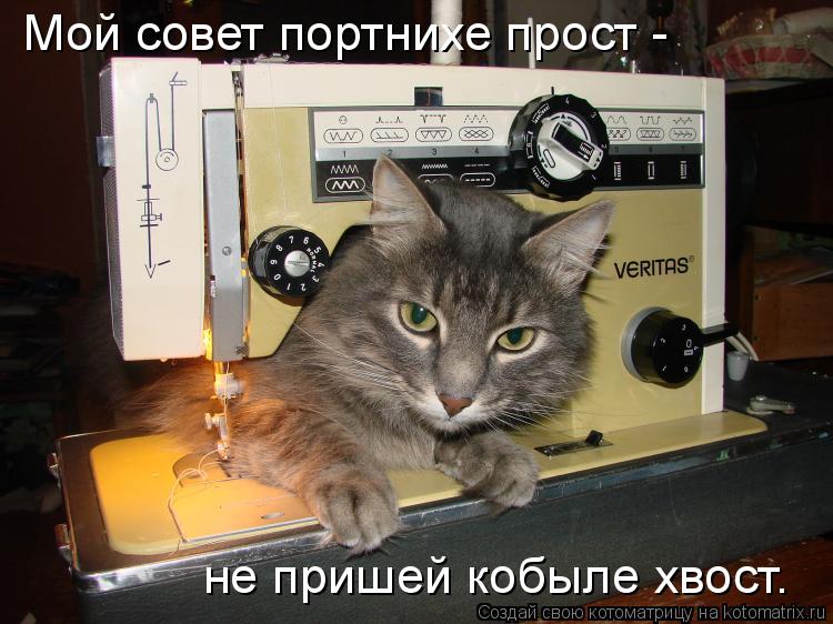 не пришей кобыле хвост. Мой совет портнихе прост -... Котоматрица: не пришей кобыле хвост. Мой совет портнихе прост -