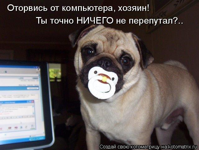 Оторвись от компьютера, хозяин! Ты точно НИЧЕГО не перепутал?..... Котоматрица: Оторвись от компьютера, хозяин! Ты точно НИЧЕГО не перепутал?..