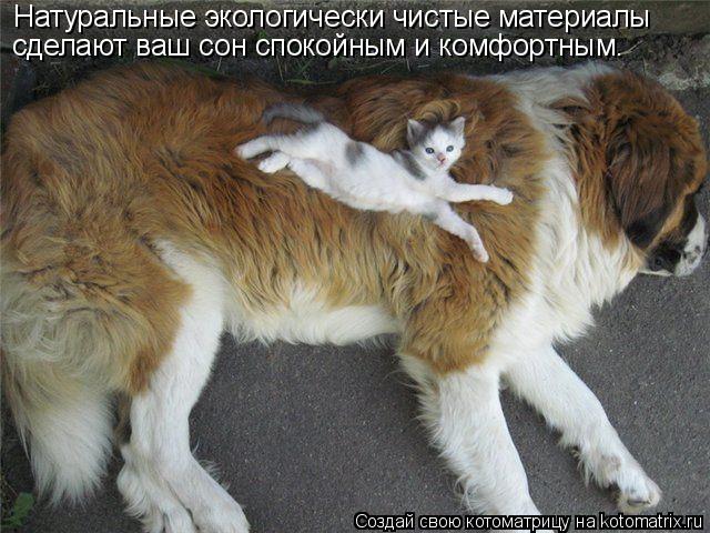 Натуральные экологически чистые материалы сделают ваш сон спокойным и комфортным.... Котоматрица: Натуральные экологически чистые материалы сделают ваш сон спокойным и комфортным.