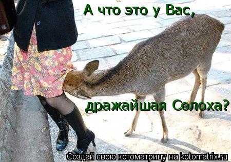 А что это у Вас, дражайшая Солоха?... Котоматрица: А что это у Вас, дражайшая Солоха?