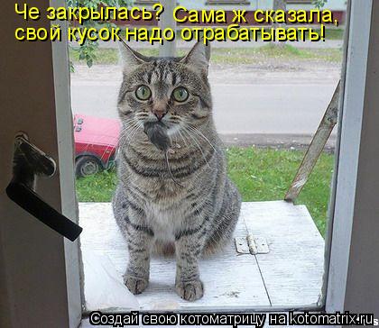 Че закрылась? Сама ж сказала, свой кусок надо отрабатывать!... Котоматрица: Че закрылась? Сама ж сказала, свой кусок надо отрабатывать!